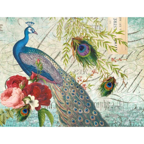 Peacock 110 White Modern Wood Framed Art Print by Lula Bijoux and Company