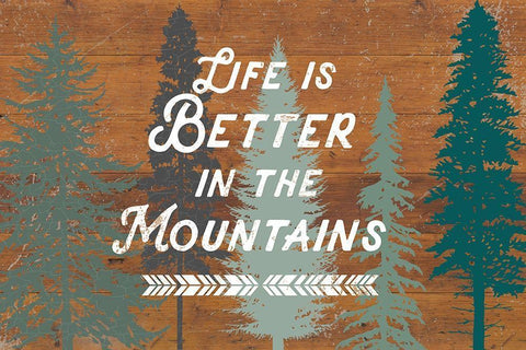 Life Is Better In The Mountains Black Ornate Wood Framed Art Print with Double Matting by Lula Bijoux and Company