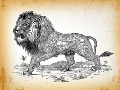 Industrial Lion Black Ornate Wood Framed Art Print with Double Matting by Lula Bijoux and Company
