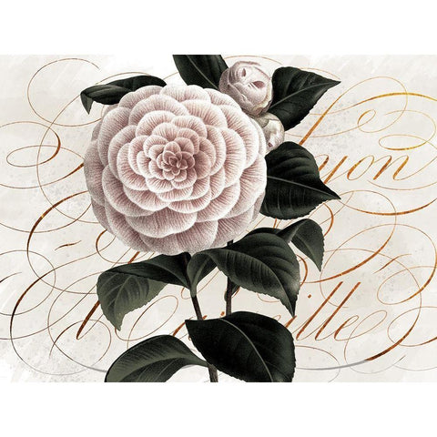 Flower and Scrolls White Modern Wood Framed Art Print by Lula Bijoux and Company