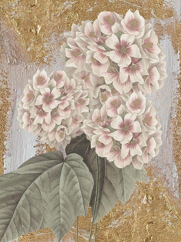 Goldern Flower White Modern Wood Framed Art Print with Double Matting by Lula Bijoux and Company