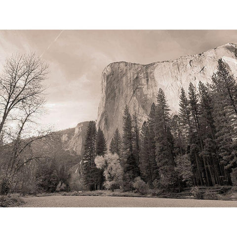 Mountain Wonder Black Modern Wood Framed Art Print with Double Matting by Lula Bijoux and Company
