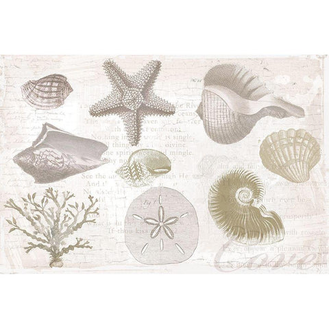 Soft Shell Collage White Modern Wood Framed Art Print by Lula Bijoux and Company