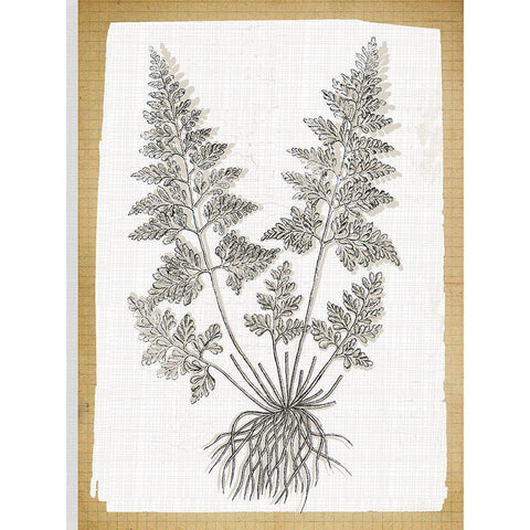 Farmhouse Ferns 1 Gold Ornate Wood Framed Art Print with Double Matting by Lula Bijoux and Company