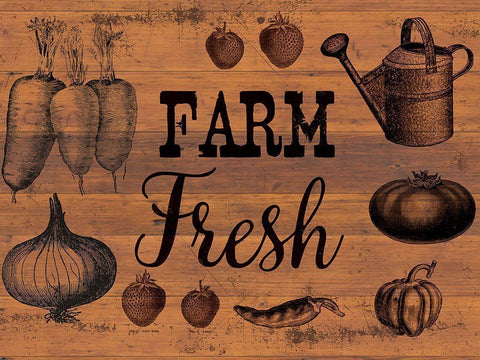 Farm Fresh 1 White Modern Wood Framed Art Print with Double Matting by Lula Bijoux And Company