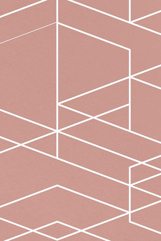 Rose Geometric 1 White Modern Wood Framed Art Print with Double Matting by Lula Bijoux and Company