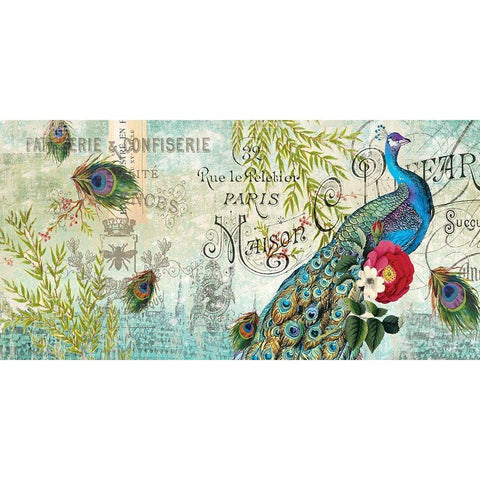 Peacock  White Modern Wood Framed Art Print by Allen, Candace