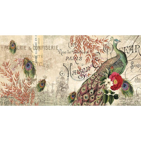 Peacock SMALL Gold Ornate Wood Framed Art Print with Double Matting by Allen, Candace