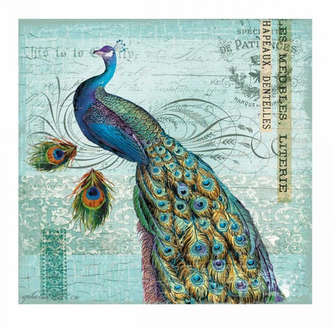 Peacock Nouveau Black Ornate Wood Framed Art Print with Double Matting by Lula Bijoux and Company