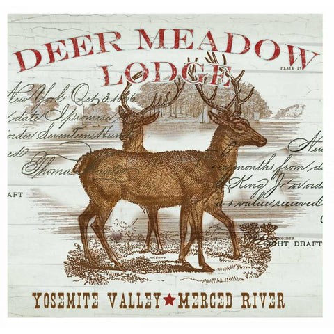 Deer Meadow Black Modern Wood Framed Art Print with Double Matting by Allen, Candace