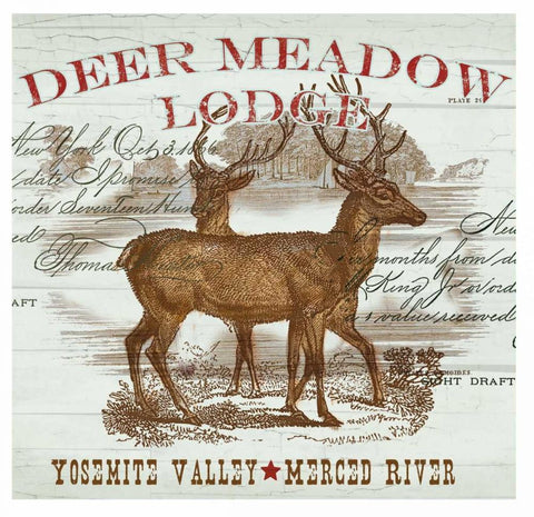 Deer Meadow Black Ornate Wood Framed Art Print with Double Matting by Allen, Candace