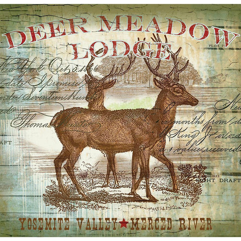 Dear Meadow Black Modern Wood Framed Art Print with Double Matting by Allen, Candace