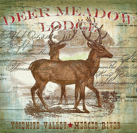 Dear Meadow Black Ornate Wood Framed Art Print with Double Matting by Allen, Candace