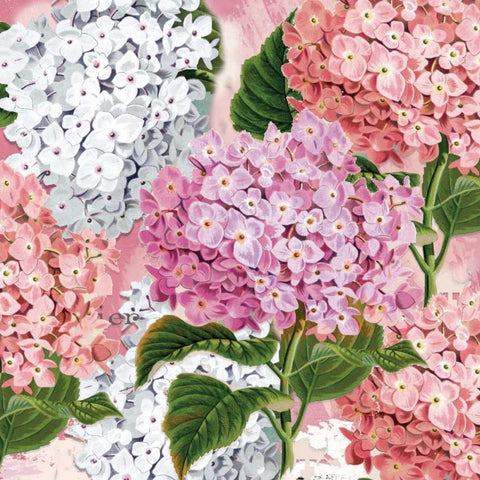 Paris All Over Floral White Modern Wood Framed Art Print by Allen, Candace