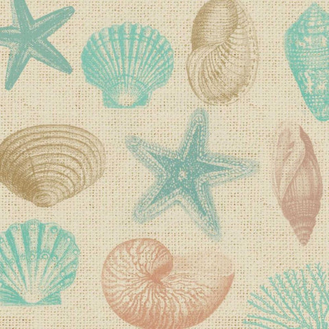 New Beachcomber Shells 1 Black Modern Wood Framed Art Print by Lula Bijoux and Company