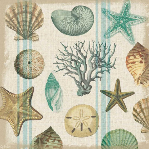Beachcomber 1 Black Modern Wood Framed Art Print with Double Matting by Lula Bijoux and Company