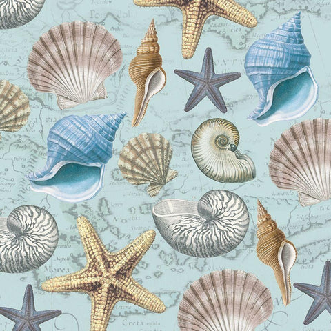 By The Sea Shells 1 Black Modern Wood Framed Art Print by Allen, Candace