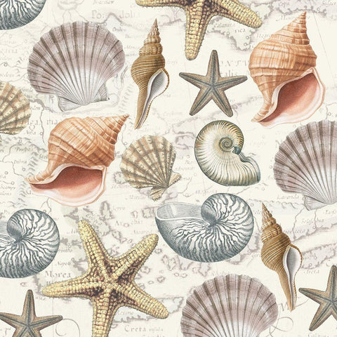 By The Sea Shells 2 White Modern Wood Framed Art Print with Double Matting by Allen, Candace