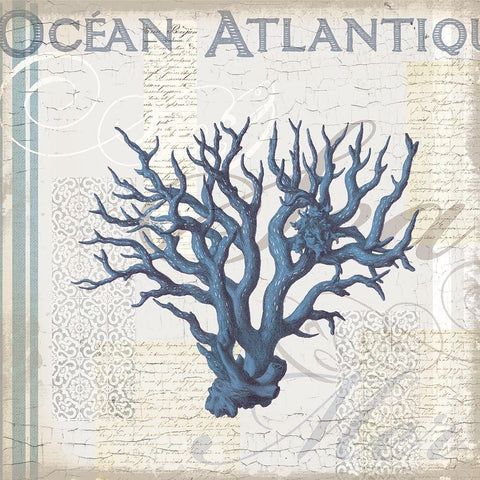 Coastal Coral Black Ornate Wood Framed Art Print with Double Matting by Lula Bijoux and Company