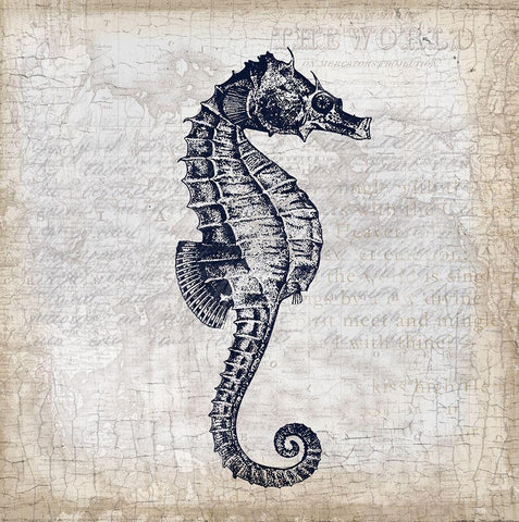 Sea Horse On Cream Black Ornate Wood Framed Art Print with Double Matting by Lula Bijoux and Company