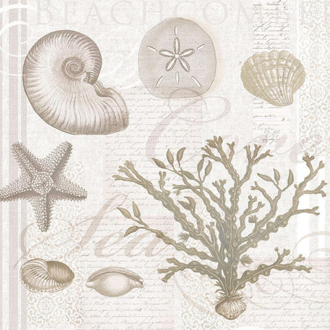 Soft Shell Collage Gold Ornate Wood Framed Art Print with Double Matting by Lula Bijoux and Company