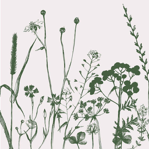 Green Flower Spray 2 White Modern Wood Framed Art Print by Lula Bijoux and Company