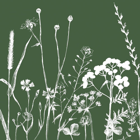 Green Flower Spray White Modern Wood Framed Art Print with Double Matting by Lula Bijoux and Company