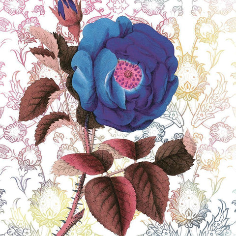 Blue Floral Grandure Black Ornate Wood Framed Art Print with Double Matting by Lula Bijoux and Company