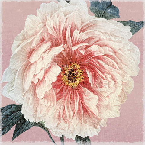 Spring Eden Peony Gold Ornate Wood Framed Art Print with Double Matting by Lula Bijoux and Company