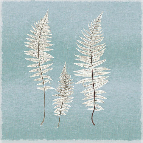 Spring Eden Fern White Modern Wood Framed Art Print with Double Matting by Lula Bijoux And Company