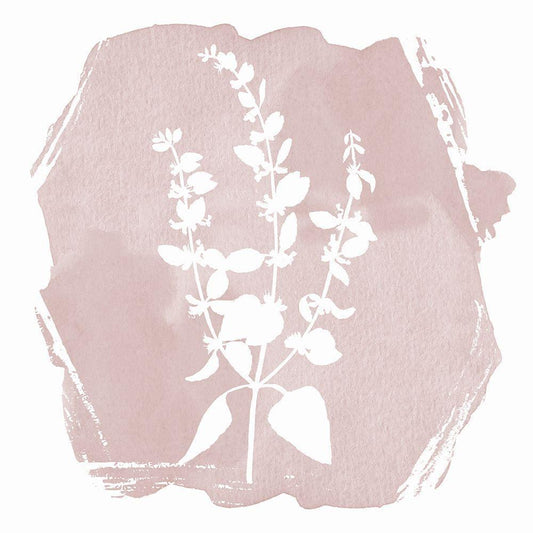 Image Only