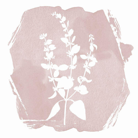 Sweet Sophisticate Floral 1 Black Ornate Wood Framed Art Print with Double Matting by Lula Bijoux And Company