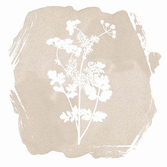 Image Only
