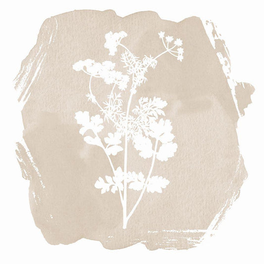 Image Only