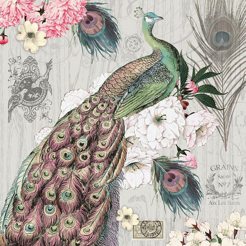 Peacock Pastels 1 Black Ornate Wood Framed Art Print with Double Matting by Lula Bijoux And Company