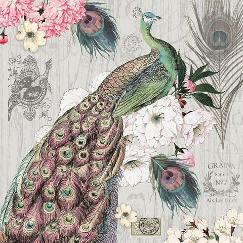 Peacock Pastels 1 Black Modern Wood Framed Art Print with Double Matting by Lula Bijoux And Company