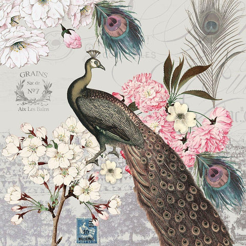 Peacock Pastels 2 Black Modern Wood Framed Art Print with Double Matting by Lula Bijoux And Company