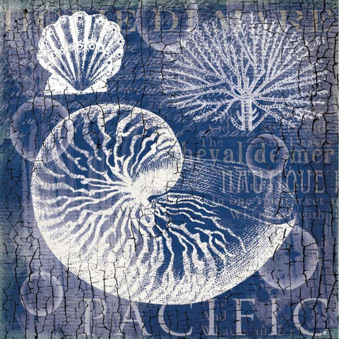 Navy Nautilus Black Ornate Wood Framed Art Print with Double Matting by Lula Bijoux and Company