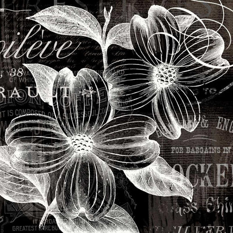 White Fleurs White Modern Wood Framed Art Print with Double Matting by Lula Bijoux and Company