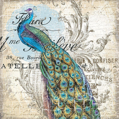 Peacock 1 Black Ornate Wood Framed Art Print with Double Matting by Lula Bijoux and Company