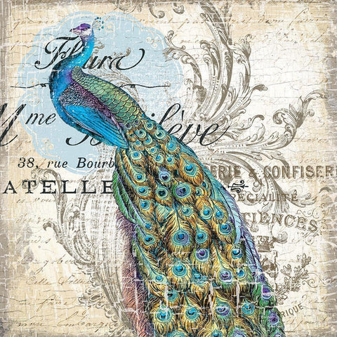Peacock 1 Black Modern Wood Framed Art Print by Lula Bijoux and Company