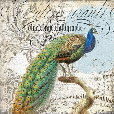 Peacock 2 Black Modern Wood Framed Art Print by Lula Bijoux and Company