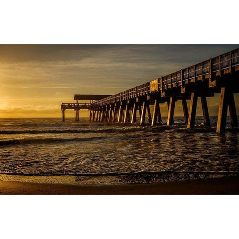 A Golden Glow Gold Ornate Wood Framed Art Print with Double Matting by Taylor, Glenn