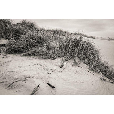 Beachy Dunes Gold Ornate Wood Framed Art Print with Double Matting by Taylor, Glenn