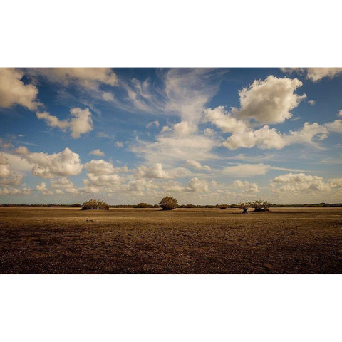 Lonely Earth Black Modern Wood Framed Art Print with Double Matting by Taylor, Glenn