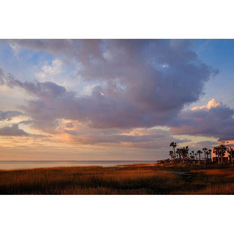 Marsh View Gold Ornate Wood Framed Art Print with Double Matting by Taylor, Glenn