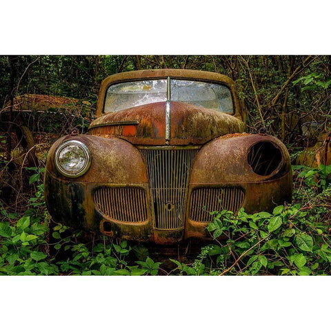 Old Bessy 1 White Modern Wood Framed Art Print by Taylor, Glenn