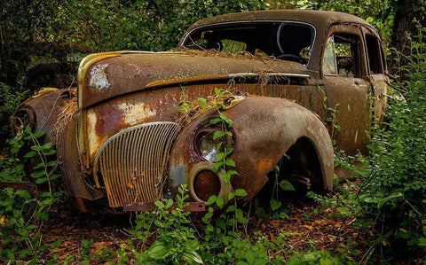 Old Bessy 2 White Modern Wood Framed Art Print with Double Matting by Taylor, Glenn