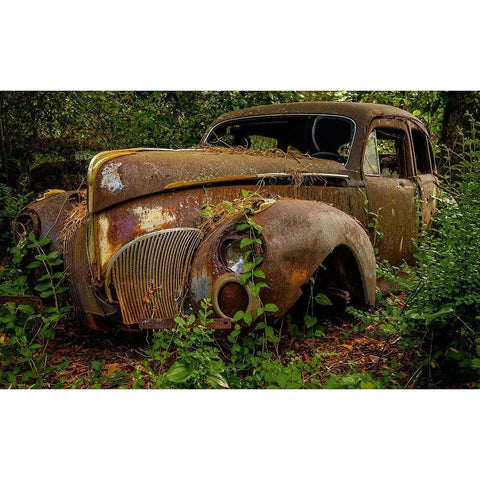 Old Bessy 2 Black Modern Wood Framed Art Print with Double Matting by Taylor, Glenn
