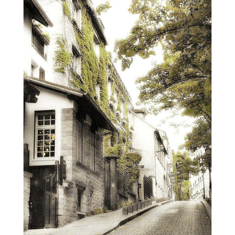 Montmartre Black Modern Wood Framed Art Print with Double Matting by Poinski, Dianne